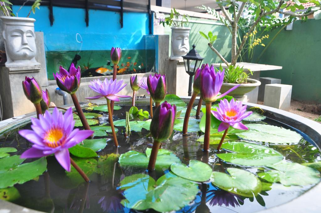 Villa Aroshina With Cooking Class 高尔 外观 照片